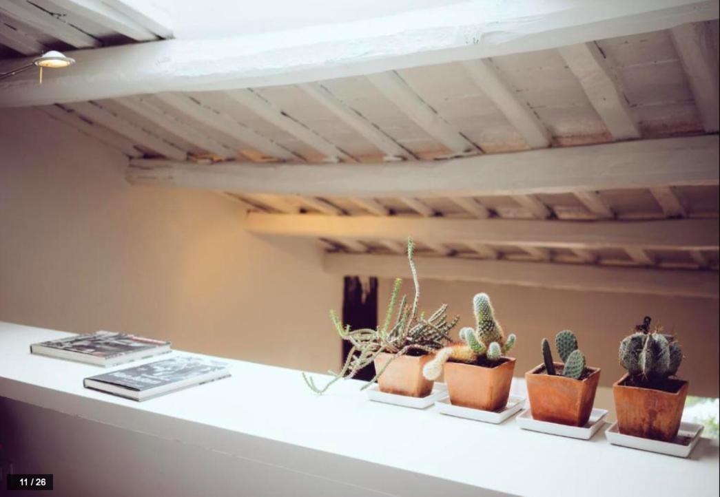 Luxury Art Apartment In Trastevere With Terrace Rom Eksteriør billede